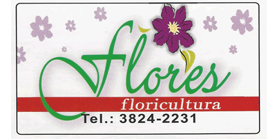 Flores Floricultura