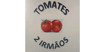 Tomate 2 Irmãos